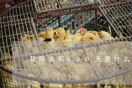 花呗逾期500天是什么后果