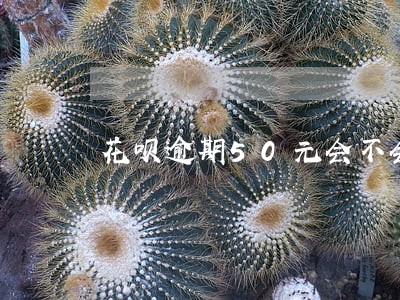 花呗逾期50元会不会发短信催 花呗逾期50元会不会发短信催