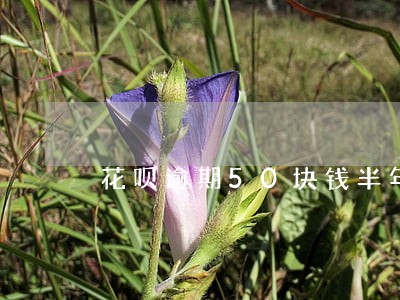 花呗逾期50块钱半年 花呗逾期50块钱半年