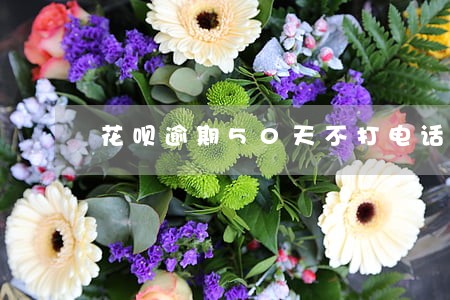 花呗逾期50天不打电话了 花呗逾期50天不打电话了