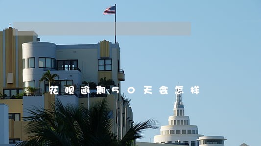 花呗逾期50天会怎样 花呗逾期50天会怎样