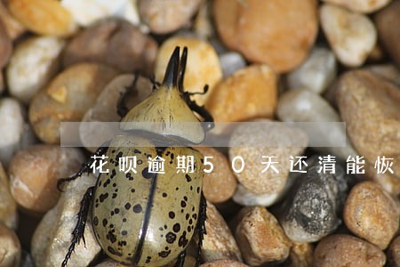 花呗逾期50天还清能恢复吗 花呗逾期50天还清能恢复吗