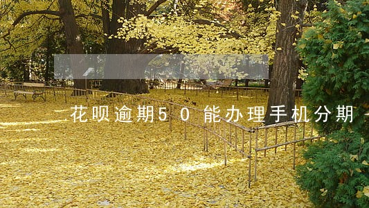 花呗逾期50能办理手机分期 花呗逾期50能办理手机分期