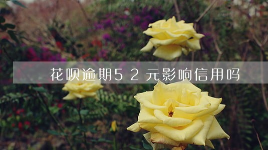 花呗逾期52元影响信用吗 花呗逾期52元影响信用吗