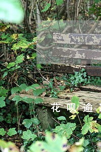花呗逾期54天一次性还清 花呗逾期54天一次性还清