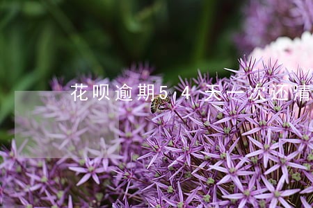 花呗逾期54天一次还清 花呗逾期54天一次还清