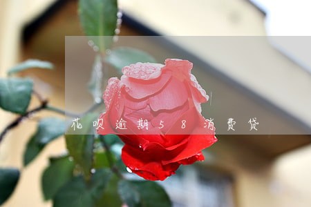 花呗逾期58消费贷 花呗逾期58消费贷