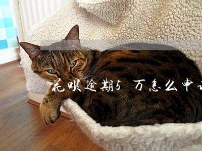 花呗逾期5万怎么申请
