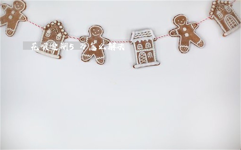 花呗逾期5万怎么解决