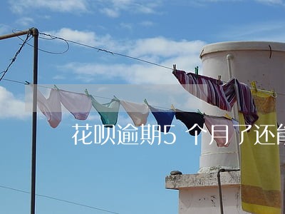 花呗逾期5个月了还能寄短信吗 花呗逾期5个月了还能寄短信吗