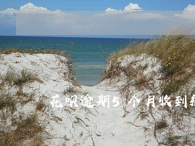 花呗逾期5个月收到短信会寄吗 花呗逾期5个月收到短信会寄吗
