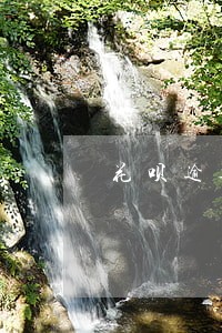 花呗逾期5个月没有恢复