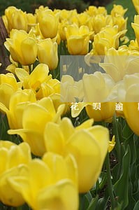 花呗逾期5个月现在还清三年了 花呗逾期5个月现在还清三年了