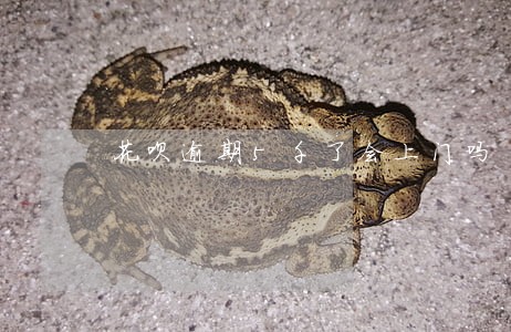 花呗逾期5千了会上门吗 花呗逾期5千了会上门吗