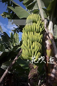 花呗逾期5千要上门催收 花呗逾期5千要上门催收