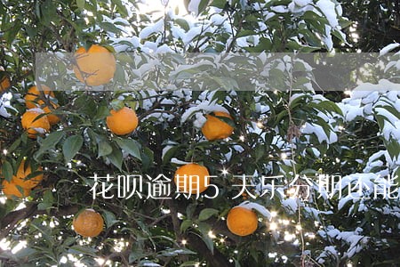 花呗逾期5天乐分期还能借出钱吗 花呗逾期5天乐分期还能借出钱吗