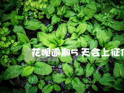 花呗逾期5天会上征信吗 花呗逾期5天会上征信吗