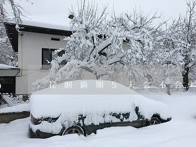 花呗逾期5天会不会被停 花呗逾期5天会不会被停
