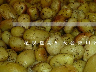 花呗逾期5天会停用么 花呗逾期5天会停用么