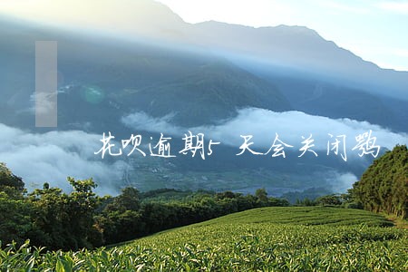 花呗逾期5天会关闭嘛 花呗逾期5天会关闭嘛