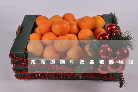 花呗逾期5天会被骚扰吗 花呗逾期5天会被骚扰吗