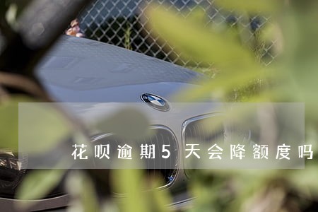 花呗逾期5天会降额度吗 花呗逾期5天会降额度吗