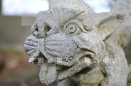花呗逾期5天接到电话 花呗逾期5天接到电话