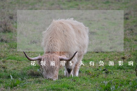 花呗逾期5天有负面影响吗 花呗逾期5天有负面影响吗