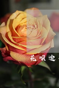 花呗逾期5天还有额度吗 花呗逾期5天还有额度吗
