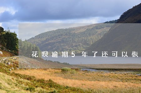 花呗逾期5年了还可以恢复吗 花呗逾期5年了还可以恢复吗