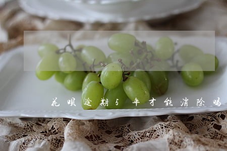 花呗逾期5年才能消除吗 花呗逾期5年才能消除吗
