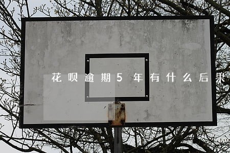 花呗逾期5年有什么后果 花呗逾期5年有什么后果
