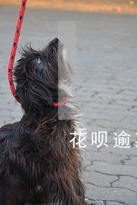 花呗逾期5年申请芝麻分 花呗逾期5年申请芝麻分