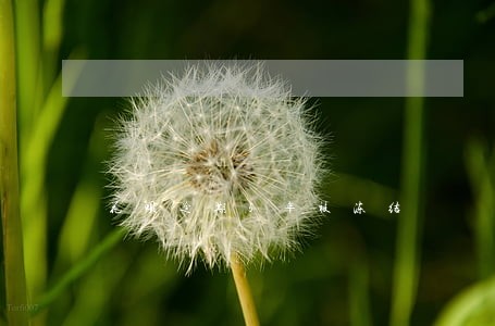 花呗逾期5年被冻结 花呗逾期5年被冻结