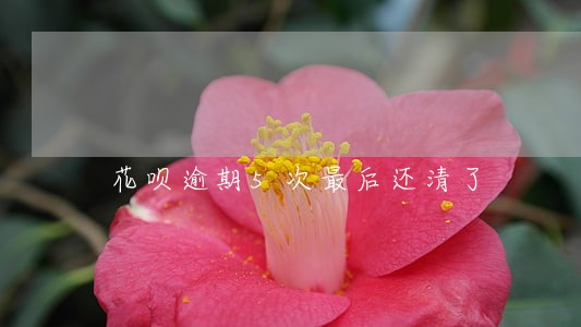 花呗逾期5次最后还清了 花呗逾期5次最后还清了