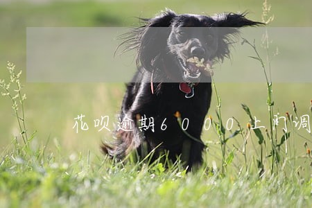 花呗逾期6000上门调查 花呗逾期6000上门调查