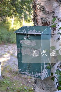 花呗逾期600三个月会怎么样 花呗逾期600三个月会怎么样