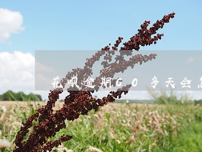 花呗逾期60多天会怎么样 花呗逾期60多天会怎么样