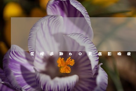 花呗逾期60天会影响房贷吗 花呗逾期60天会影响房贷吗