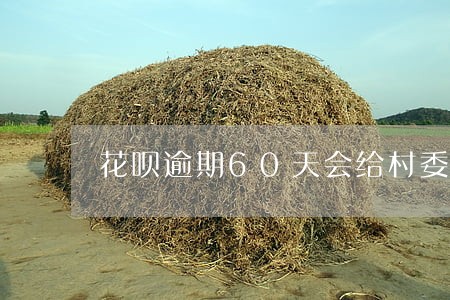 花呗逾期60天会给村委打电话吗 花呗逾期60天会给村委打电话吗