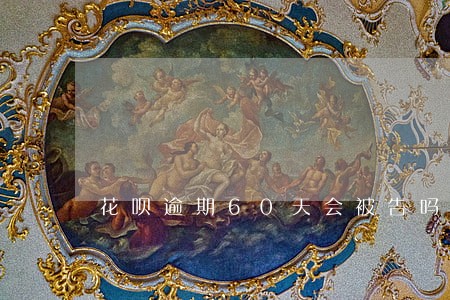 花呗逾期60天会被告吗