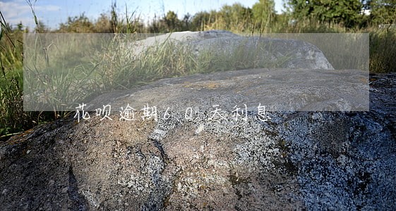 花呗逾期60天利息