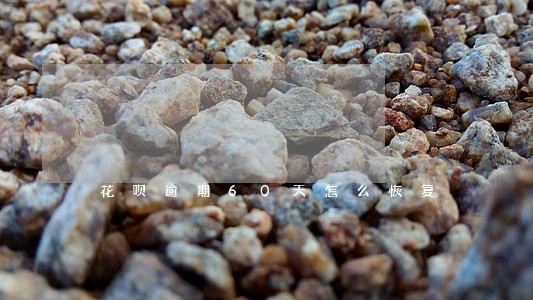 花呗逾期60天怎么恢复