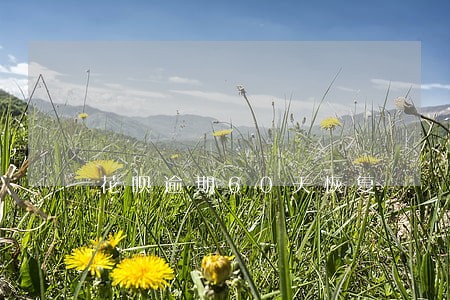 花呗逾期60天恢复