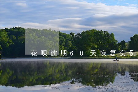 花呗逾期60天恢复实例