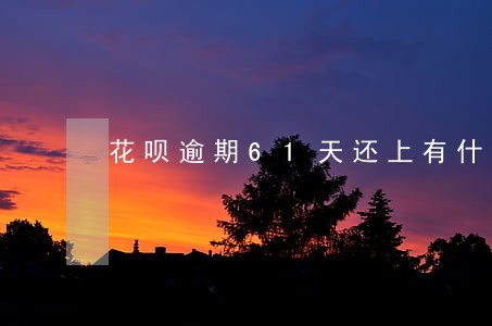 花呗逾期61天还上有什么后果