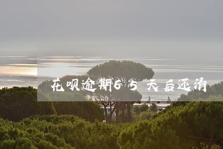 花呗逾期65天后还清 花呗逾期65天后还清