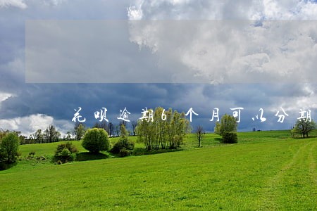 花呗逾期6个月可以分期 花呗逾期6个月可以分期