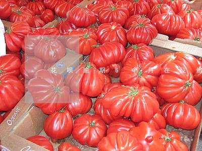 花呗逾期6个月在征信上没显示 花呗逾期6个月在征信上没显示