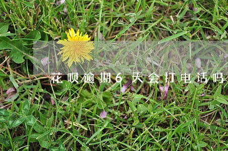 花呗逾期6天会打电话吗 花呗逾期6天会打电话吗